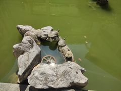 -浙江大学(玉泉校区)