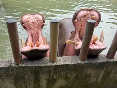 -常州淹城野生动物世界