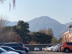 -国家植物园南园