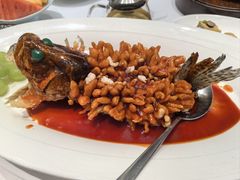 松鼠鳜鱼-松鹤楼·非遗·苏帮菜(融科店)