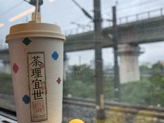 -茶理宜世(东方宝泰店)