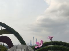 -海珠湖公园