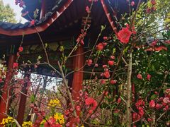 -南汇桃花村