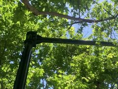 -皇朝尊会(龙之梦大酒店)