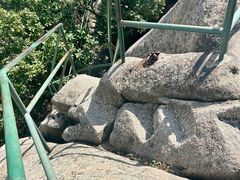 -丹东凤凰山景区