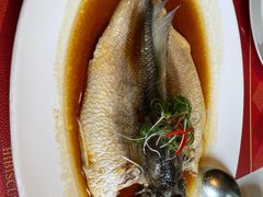 -芙蓉堂(武汉天地店)