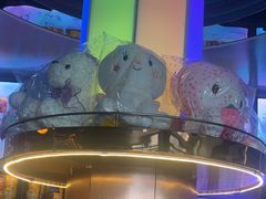 -尚酷麦量贩KTV(金州店)