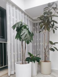 -HEYAN荷妍专业脱毛连锁机构