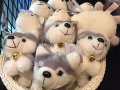 -TrueLove @ Neverland (Husky Cafe)