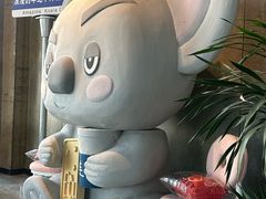 -了不起的考拉咖啡店(高新店)