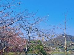 -风云岭森林公园