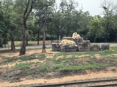 -秦皇岛野生动物园