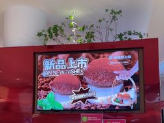 -老板恋上鱼(恒隆广场店)