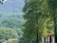 -深圳仙湖植物园