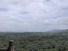 -灵谷景区