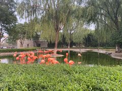 -辛玛王国游乐园