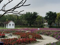 -广东花都香草世界旅游度假区