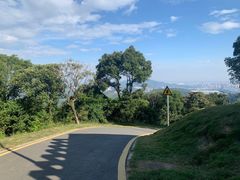 -黄埔油麻山森林公园