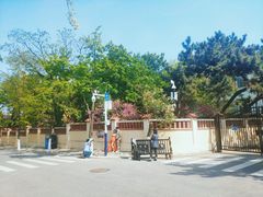 -八大关景区