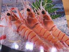 -割烹旭日本料理(龙湖狮山天街店)