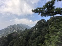 -王顺山国家森林公园