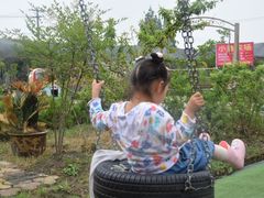 -小鱼草莓采摘园农家乐·小鱼餐厅