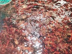 -盒马鲜生(双清路店)
