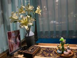 -琦品高端美容SPA私佳美场