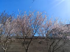 -滨河世纪广场公园