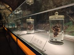 -青岛葡萄酒博物馆