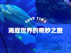 -太平洋海底世界餐厅