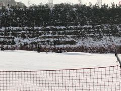 -采薇庄园四季滑雪场