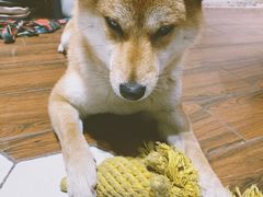 -About Bistro關於·泰式家庭料理