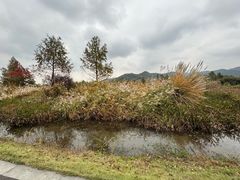 -东钱湖旅游度假区