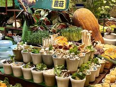 -亚马逊蒸汽活海鲜自助(LCM置汇旭辉广场店)