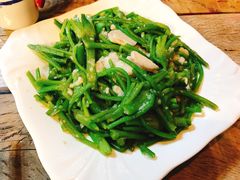 -马帮菜馆·美味野生菌