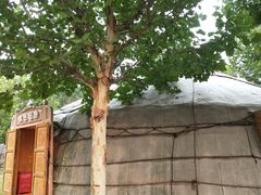 -九十九顶毡房(阜石路店)