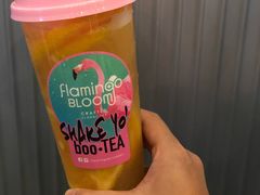 -Flamingo Bloom(TST /尖沙咀店)