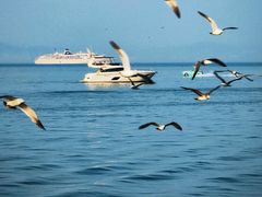 -东港音乐喷泉广场