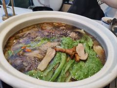 -蘑统田下·野生菌火锅