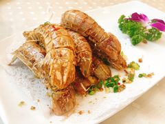 -四海之家(蛇口店)