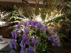 -春暖花开(西溪店)