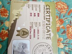 -龙猫仔乐园(惠福东路店)