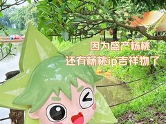 -长洲岛