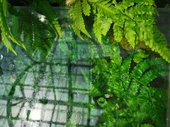 -北京植物园-展览温室