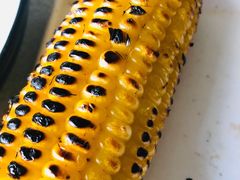 -食家鸽园