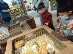 -酷嗒动物文化乐园(cutezoo西溪乐天城店)