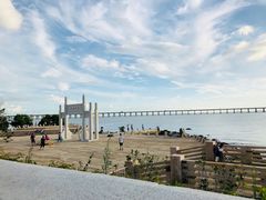 -宝安西湾红树林湿地公园