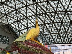 -花之城