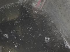 -金三可市井水煮鱼(金碧园店)